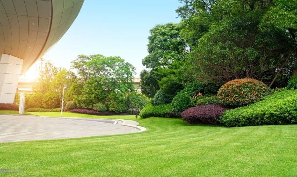 commercial landscaping services