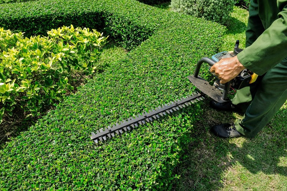 garden maintenance