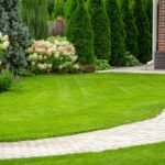 Creating a Low-Maintenance Landscape: A Guide