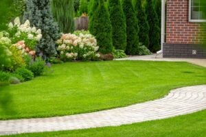 Read more about the article Creating a Low-Maintenance Landscape: A Guide