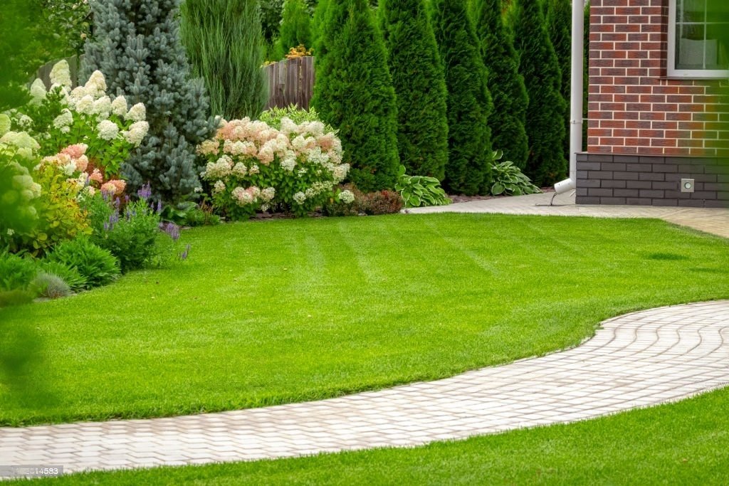 Read more about the article Creating a Low-Maintenance Landscape: A Guide