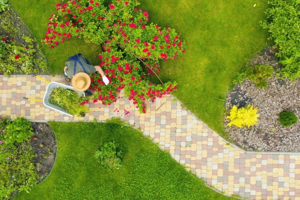 professional landscape services (5)